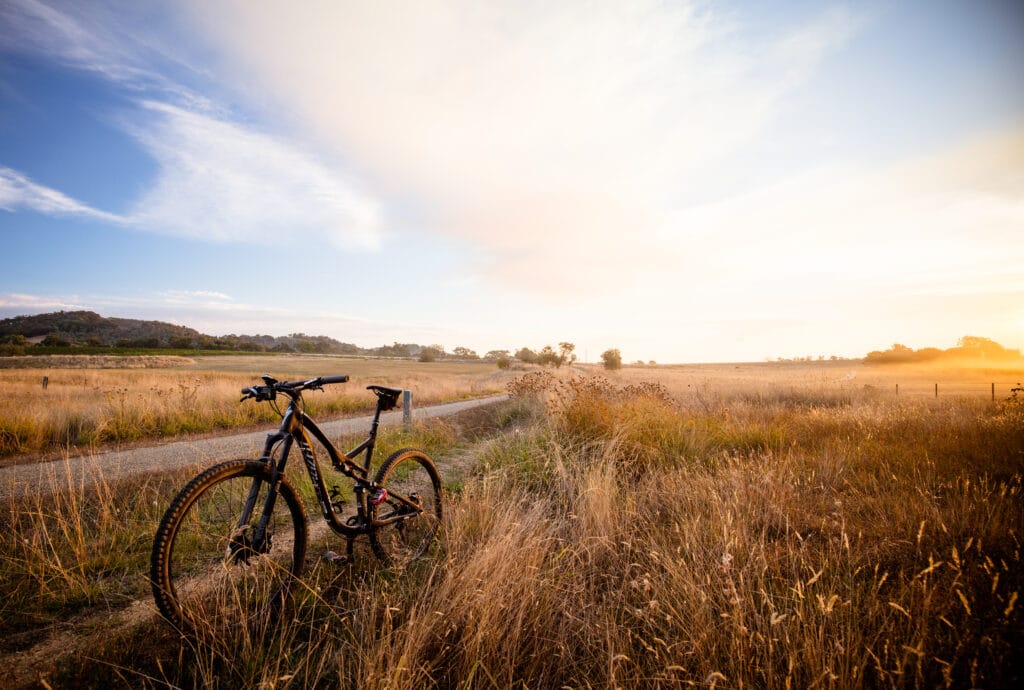 Beechworth Mountain Biking The famous Flametrees mountain bike trail near Beechworth at sunset in Victoria, Australia