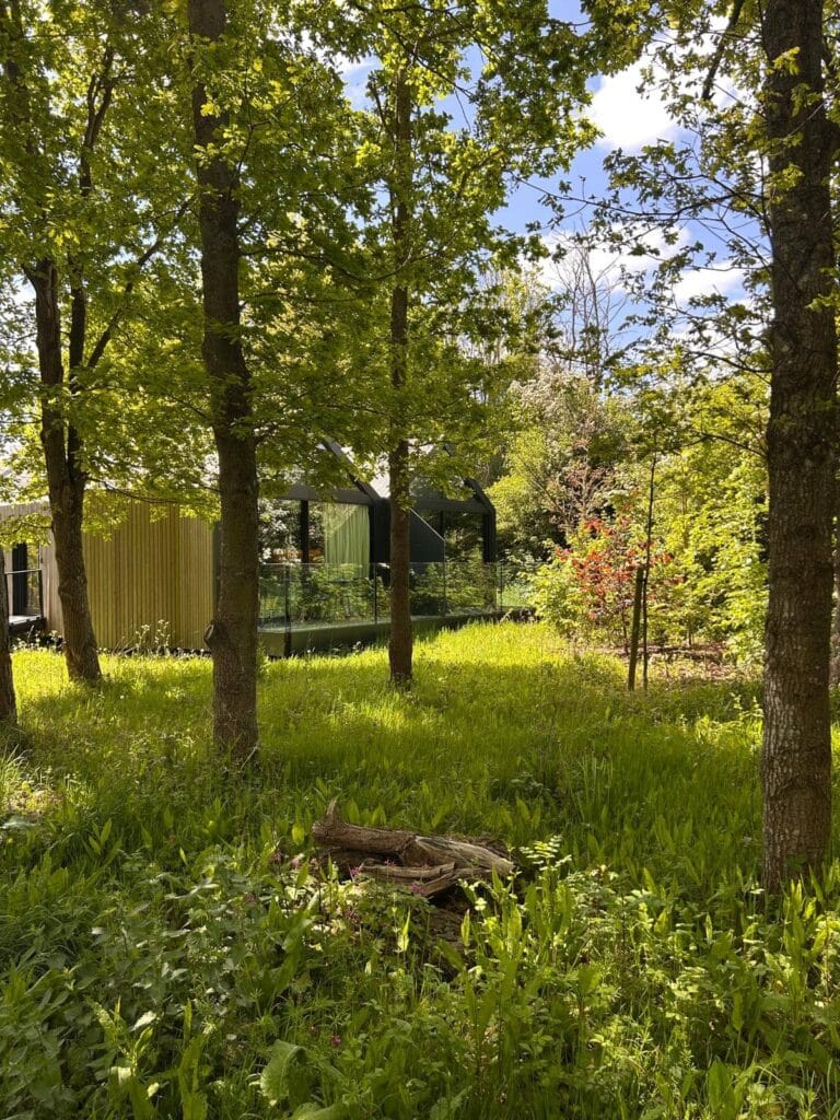forest-lodge forest-lodge