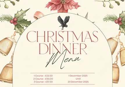 Package Header Christmas 2025