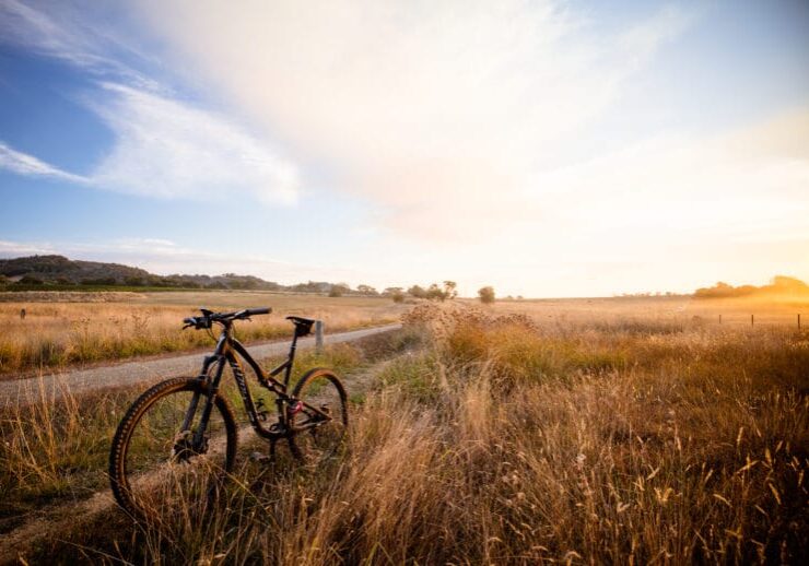 The famous Flametrees mountain bike trail near Beechworth at sunset in Victoria, Australia