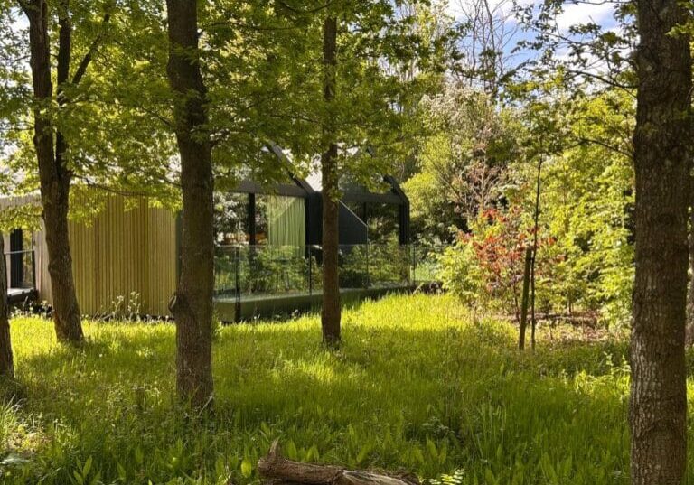 forest-lodge